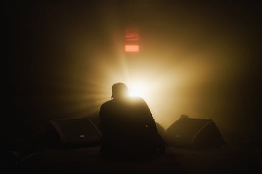 "How Audience Presence Influences UFC Fighters' Performance and Outcomes"