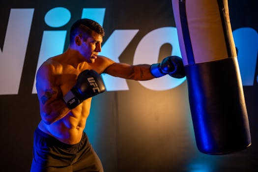 "Exploring the Lasting Effects of Injuries on UFC Fighters' Careers and Health"