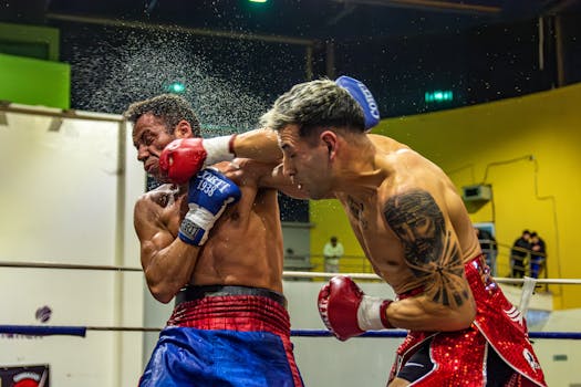 "Exploring the Impact of Fight Predictions on UFC Match Outcomes"